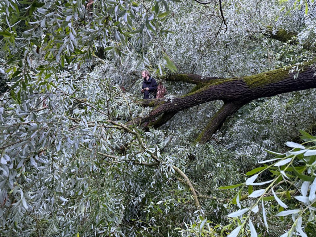 Aleander Rudolfi 2025 Temnitzschreiber