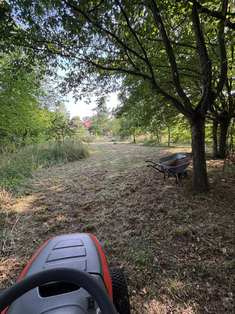 1. Temnitzer Lesetage & Nächte