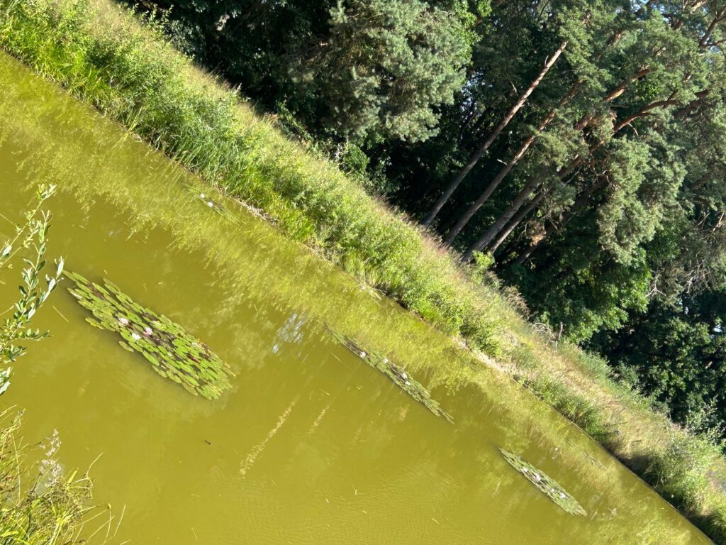 Räeglin Temnitzschreiber Teich 2026